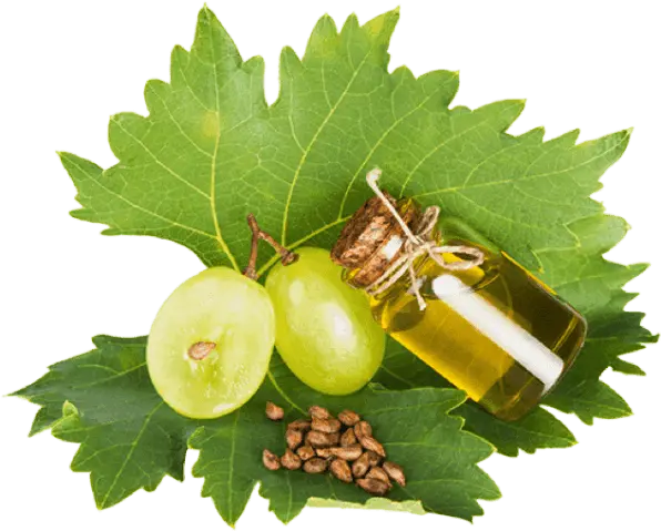 Grape Seed Extract