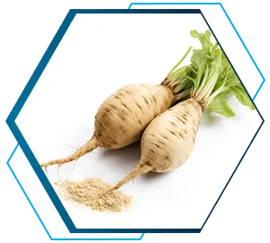 Maca-Root